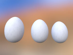 White Chicken Egg 3D Model