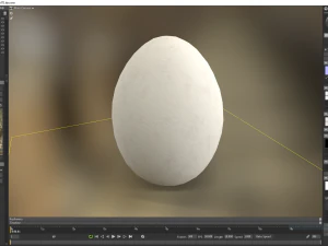 White Chicken Egg 3D Model