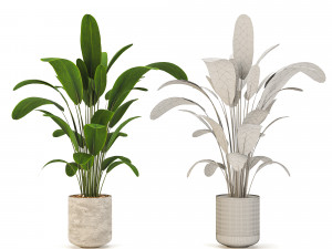 Indoor-plants-in-Concrete-Damaged-001 Modèle 3D