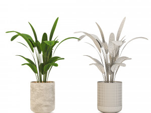 Indoor-plants-in-Concrete-Damaged-001 Modèle 3D