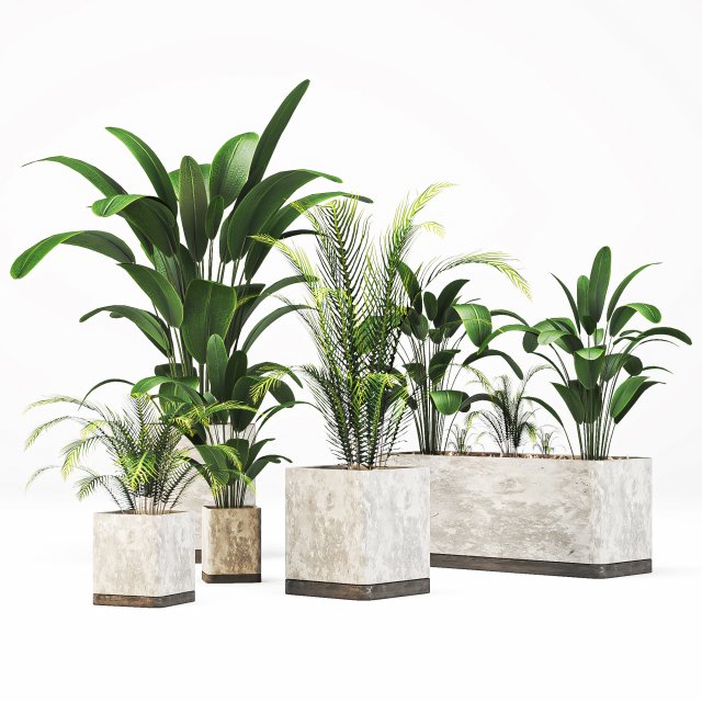 Indoor-plants-in-Concrete-Damaged-002 3D मॉडल .c4d .max .obj .3ds .fbx .stl .blend 