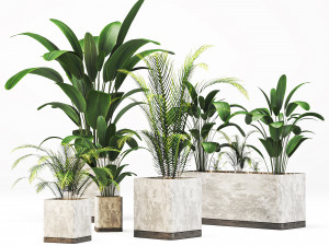 Indoor-plants-in-Concrete-Damaged-002 3D मॉडल