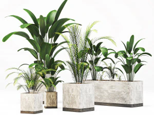Plantas de interior em concreto danificado-002 Modelo 3D