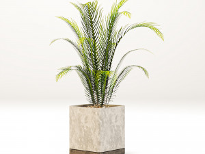 Indoor-plants-in-Concrete-Damaged-002 3D मॉडल