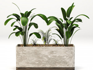 Indoor-plants-in-Concrete-Damaged-002 3D मॉडल