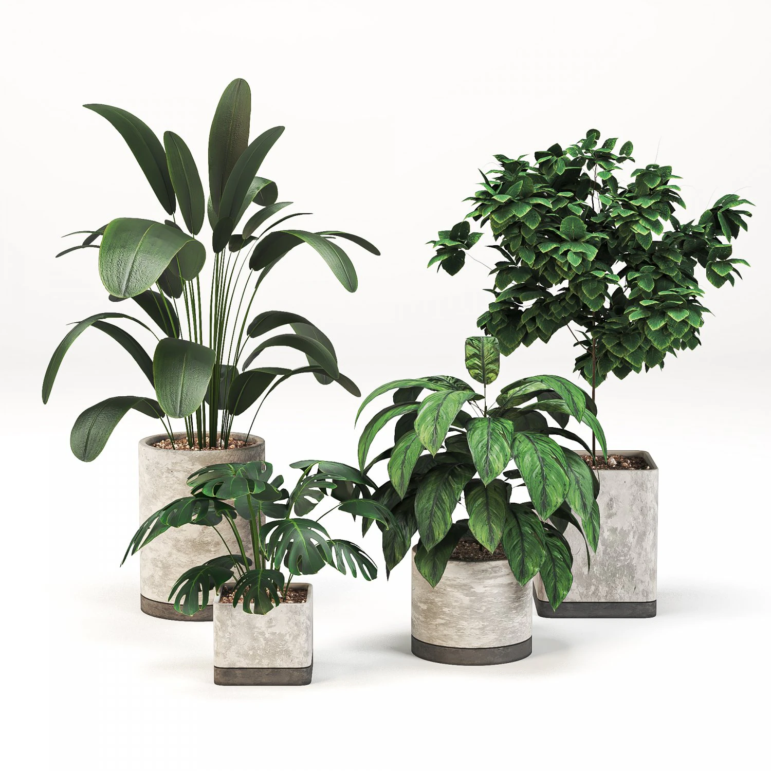 Indoor-plants-in-Concrete-Damaged-pack001 3D Model .c4d .max .obj .3ds .fbx .stl .blend 