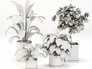 Indoor-plants-in-Concrete-Damaged-pack001 3D Model