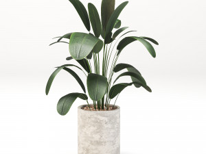 Indoor-plants-in-Concrete-Damaged-pack001 Modelo 3D