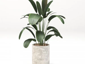 Indoor-plants-in-Concrete-Damaged-pack001 3D Model