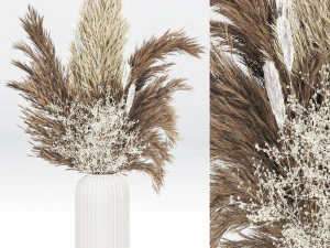 Pampas-grass-decor-01 3D Model