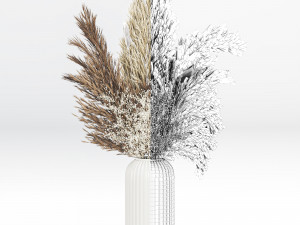 Pampas-grass-decor-01 3Dモデル