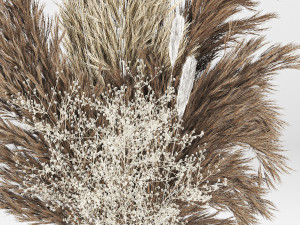 Pampas-grass-decor-01 3Dモデル