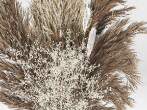 Pampas-grass-decor-01 3D Model