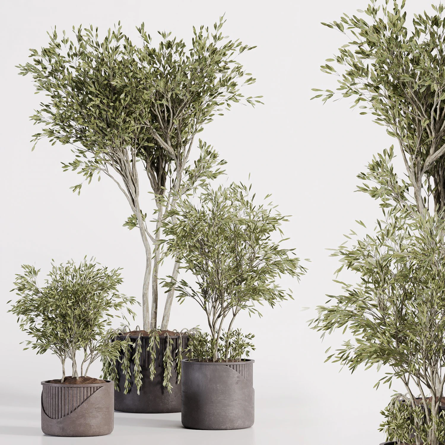 Indoor plants in vase 001 3D Model .c4d .max .obj .3ds .fbx .stl .blend 