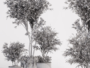 Indoor plants in vase 001 Modelo 3D