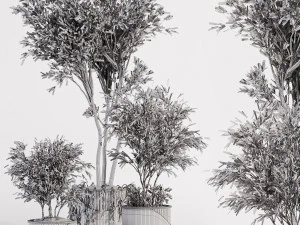 Indoor plants in vase 001 3D Model