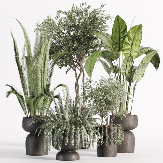 Indoor plants in vase 002 3D मॉडल .c4d .max .obj .3ds .fbx .stl .blend 