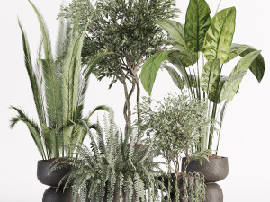 Indoor plants in vase 002 3D Модель