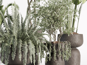 Indoor plants in vase 002 3D मॉडल