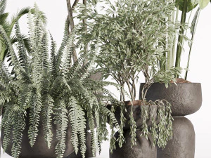 Indoor plants in vase 002 3D Model