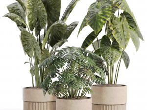 Indoor plants in vase 003 3D Модель