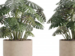 Indoor plants in vase 003 3D Model