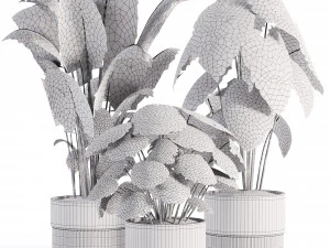 Indoor plants in vase 003 3D Model