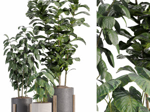 Indoor-plants-in-vase-006 3D 모델