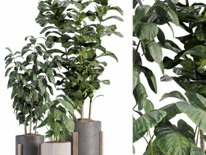 屋内の花瓶の中の植物-006 3Dモデル