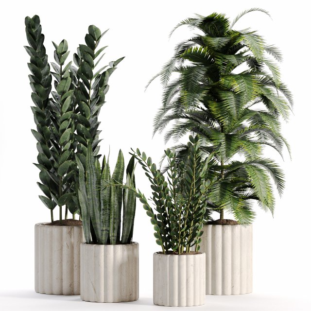 Indoor-plants-in-vase-007 3Dモデル .c4d .max .obj .3ds .fbx .stl .blend