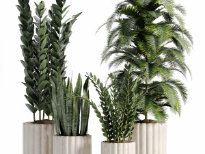 Indoor-plants-in-vase-007 3D Model
