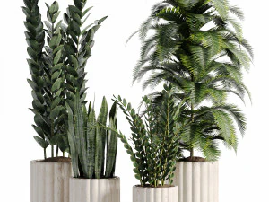 Plantas de interior em vaso-007 Modelo 3D