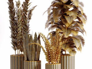 Indoor-plants-in-vase-007 3Dモデル