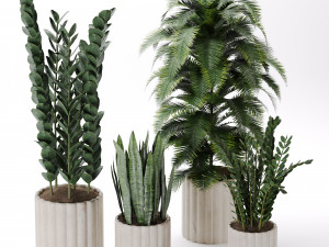 Indoor-plants-in-vase-007 3Dモデル