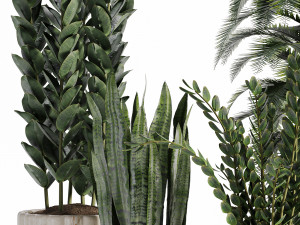 Indoor-plants-in-vase-007 3Dモデル