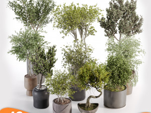 Pack tree 01 3D Model