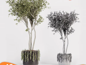 &Aacute;rvore de pacote 01 Modelo 3D