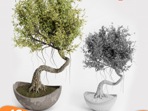Pack tree 01 Model 3D