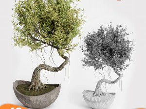 &Aacute;rvore de pacote 01 Modelo 3D