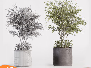 Pack tree 01 Model 3D