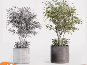 &Aacute;rvore de pacote 01 Modelo 3D