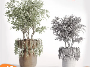 &Aacute;rvore de pacote 01 Modelo 3D