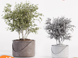 &Aacute;rvore de pacote 01 Modelo 3D