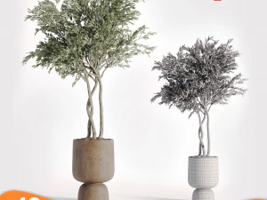 &Aacute;rvore de pacote 01 Modelo 3D