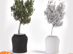 Pack tree 01 Model 3D