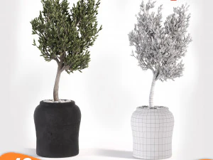 &Aacute;rvore de pacote 01 Modelo 3D