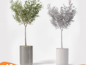 &Aacute;rvore de pacote 01 Modelo 3D