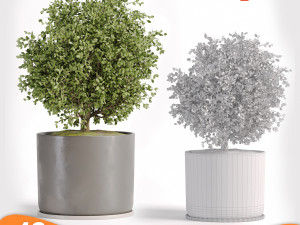 Pack tree 01 Model 3D