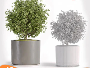 &Aacute;rvore de pacote 01 Modelo 3D