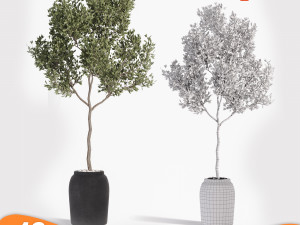 Pack tree 01 Model 3D